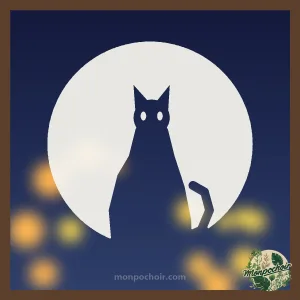 Pochoir Chat Noir et Pleine Lune peint sur une vitre